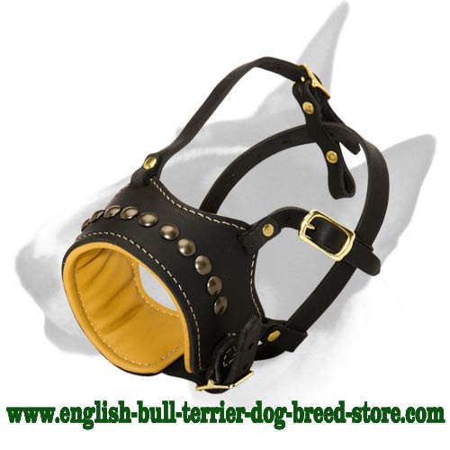No Bark Leather Bull Terrier Muzzle for Walking and Training