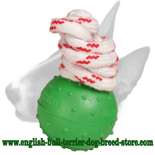 Bull Terrier 'Joy and Train' Dotted Ball for Training and Playing