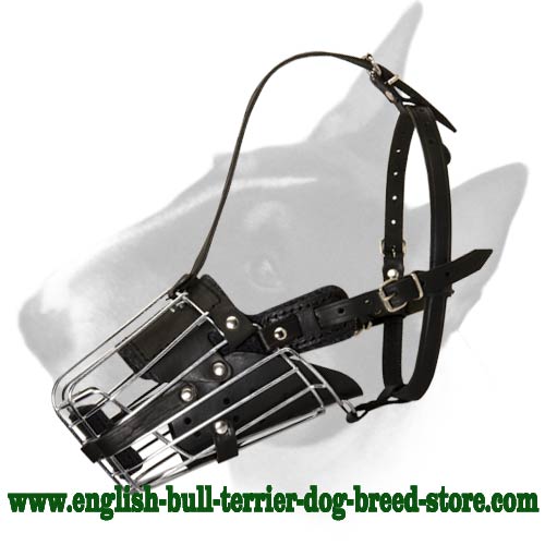 Easily Adjustable Well-Fitting Wire Cage Bull Terrier Muzzle