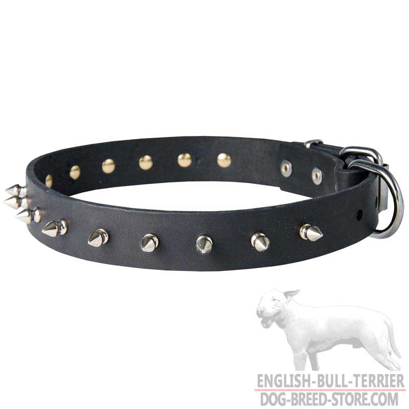Handcrafted Narrow Leather Bull Terrier Collar with Spikes