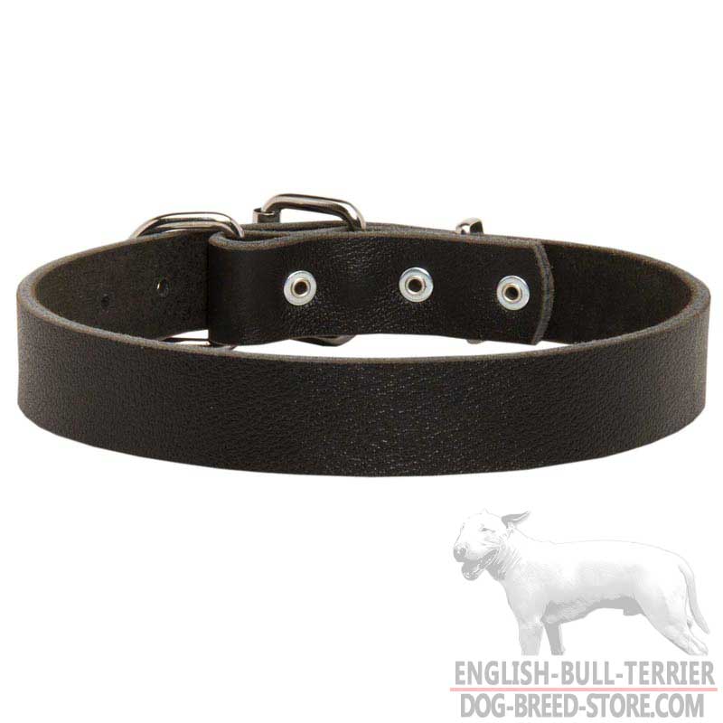 Simple and Elegant Leather Bull Terrier Collar