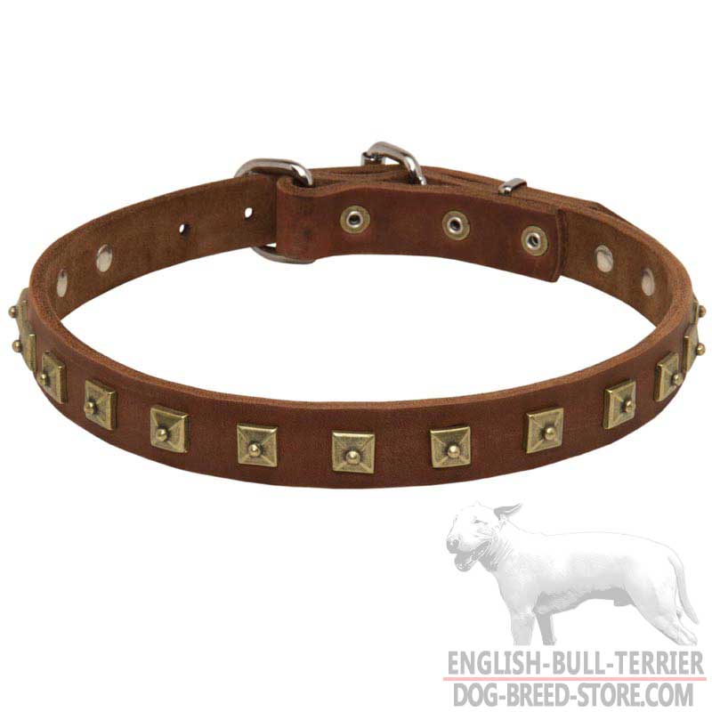 Gorgeous Leather Bull Terrier Collar Decorated with Studs