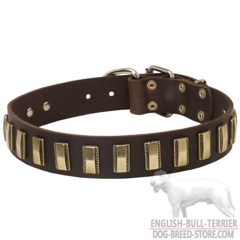 Remarkable Design Leather Bull Terrier Collar with Brass Plates