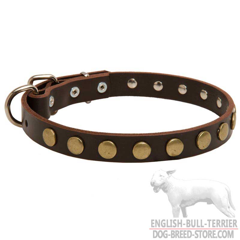 Astonishing Leather Bull Terrier Collar Adorned With Brass Studs