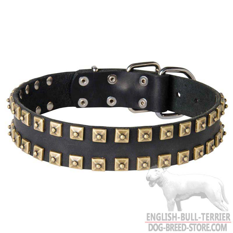 Wide Leather Bull Terrier Collar with Golden Brass Studs