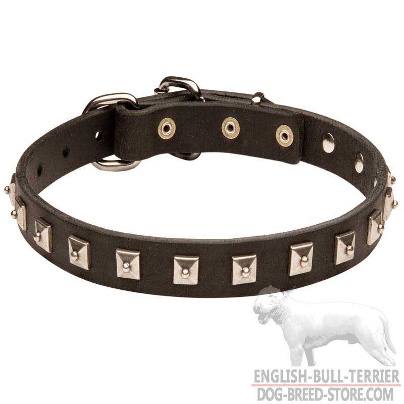Gorgeous Leather Bull Terrier Collar With Nickel Studs - Click Image to Close