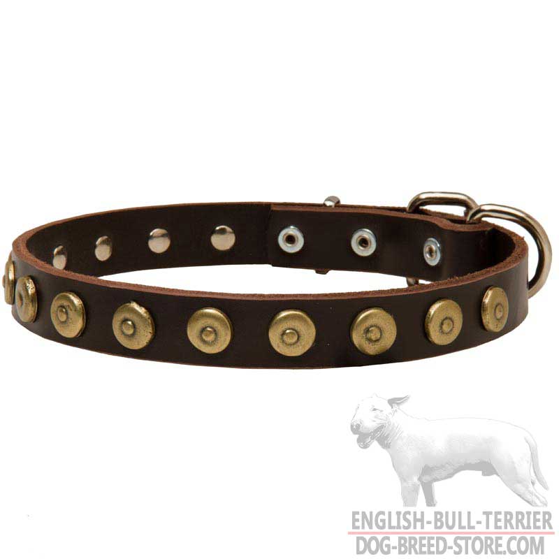 Leather English Bull Terrier Collar For Everyday Usage