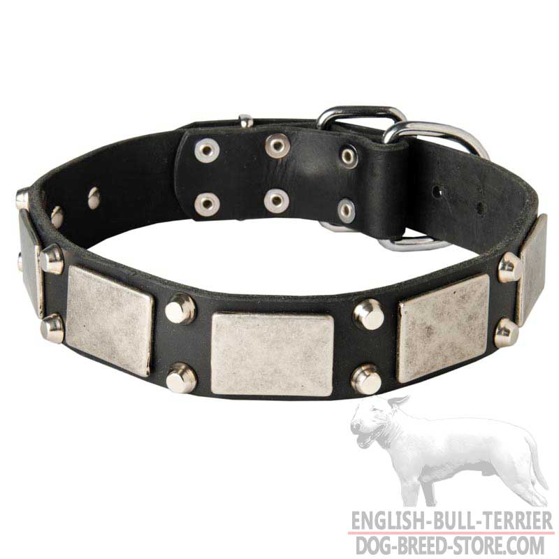 Stylish and Functional Leather Bull Terrier Collar with Metal Decoration