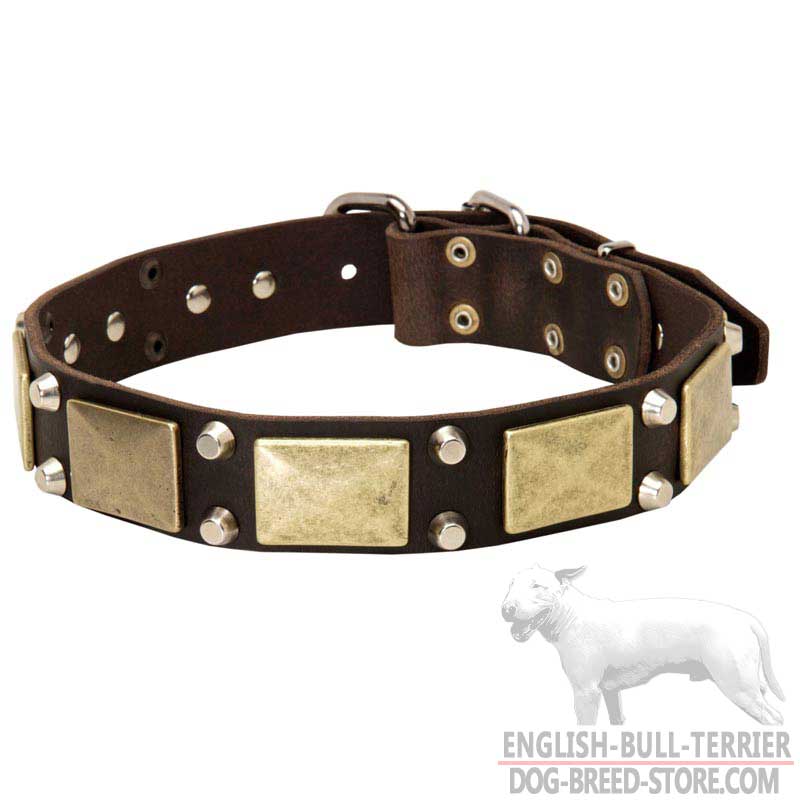 Vintage Leather Bull Terrier Collar Decorated With Brass Plates And Nickel Pyramids