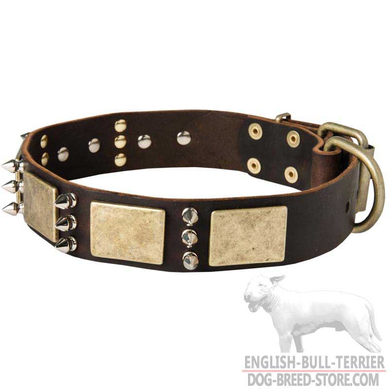 Leather Bull Terrier Collar with Metal Plates and Spikes