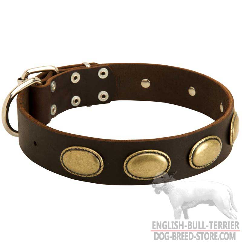 Leather Bull Terrier Collar Adorned With Vintage Plates