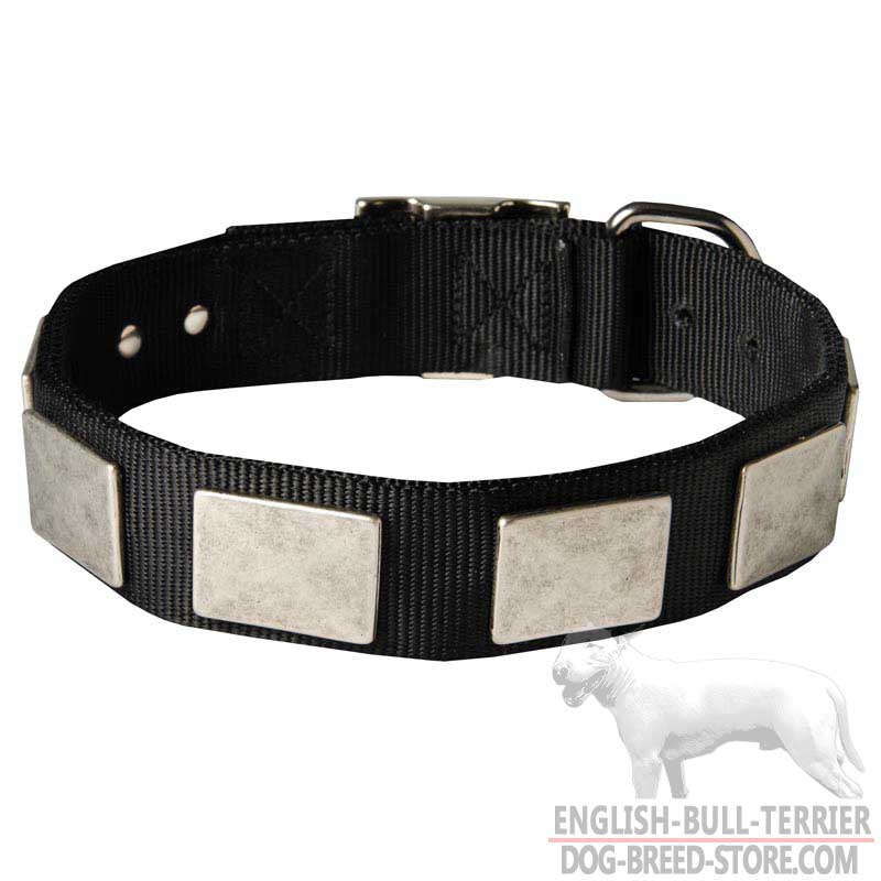 All Weather Nylon Bull Terrier Collar with Decorative Metal Plates