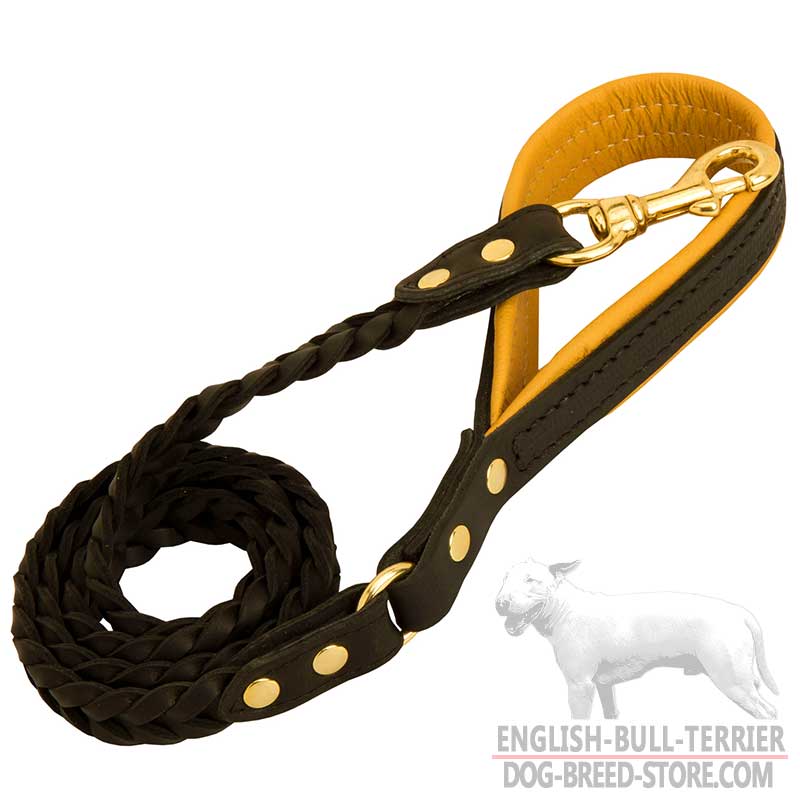 Marvelous Leather Bull Terrier Leash for Walking