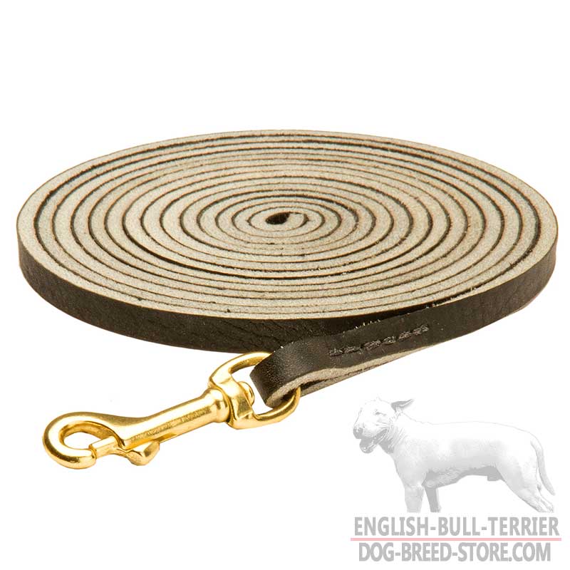 Professional Leather Bull Terrier Leash for Tracking