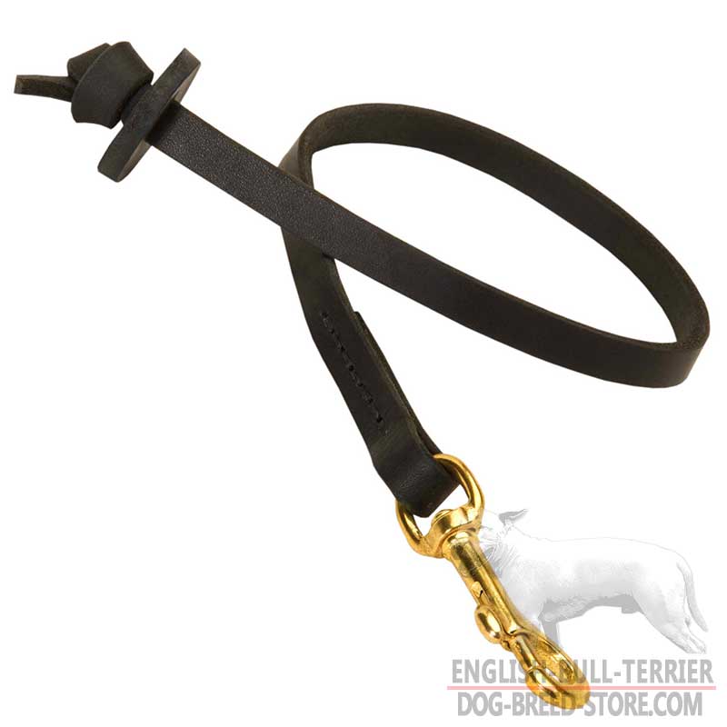 Handmade Leather Bull Terrier Leash For Better Control
