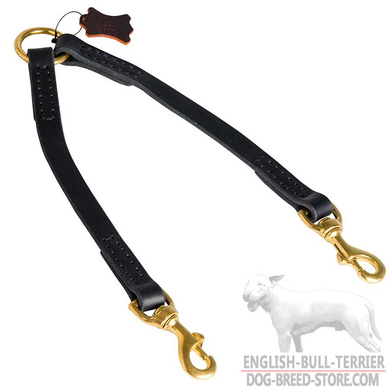 Stitched Leather Bull Terrier Coupler For Proper Training