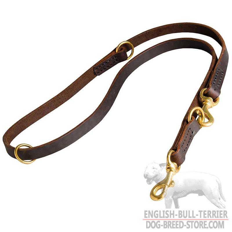 Multimode Bull Terrier Leash Equipped With Solid Brass Snap Hook