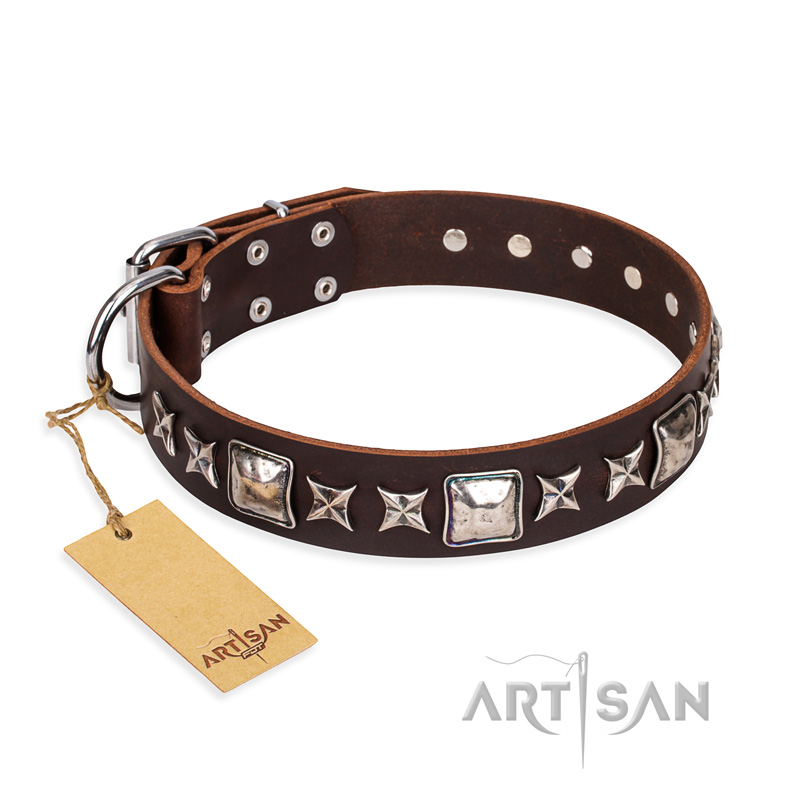 "Perfect Impression" FDT Artisan Brown Leather English Bull Terrier Collar with Square Studs - 1 1/2 inch (40 mm) Wide