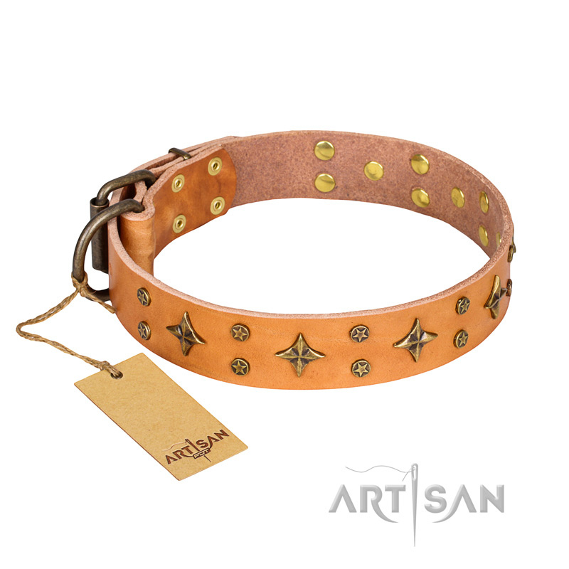 'Top-Flight' FDT Artisan Adorned Tan Leather English Bullterrier Collar