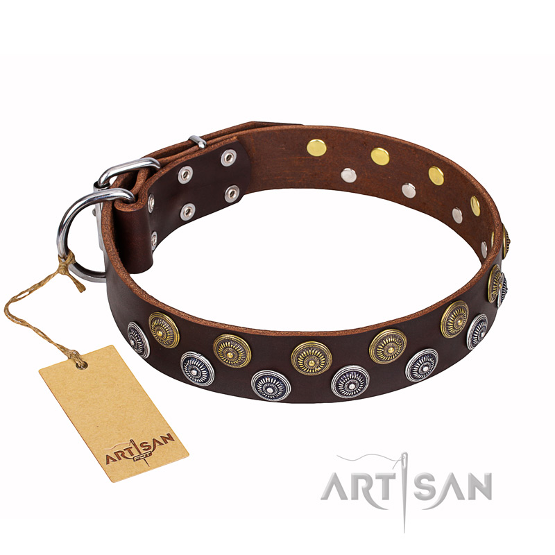 'Strong Shields' Designer FDT Artisan Brown Leather English Bull Terrier Collar with Handset Decor