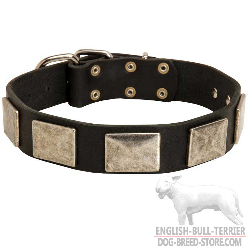Handcrafted Leather Bull Terrier Collar with Nickel Plates