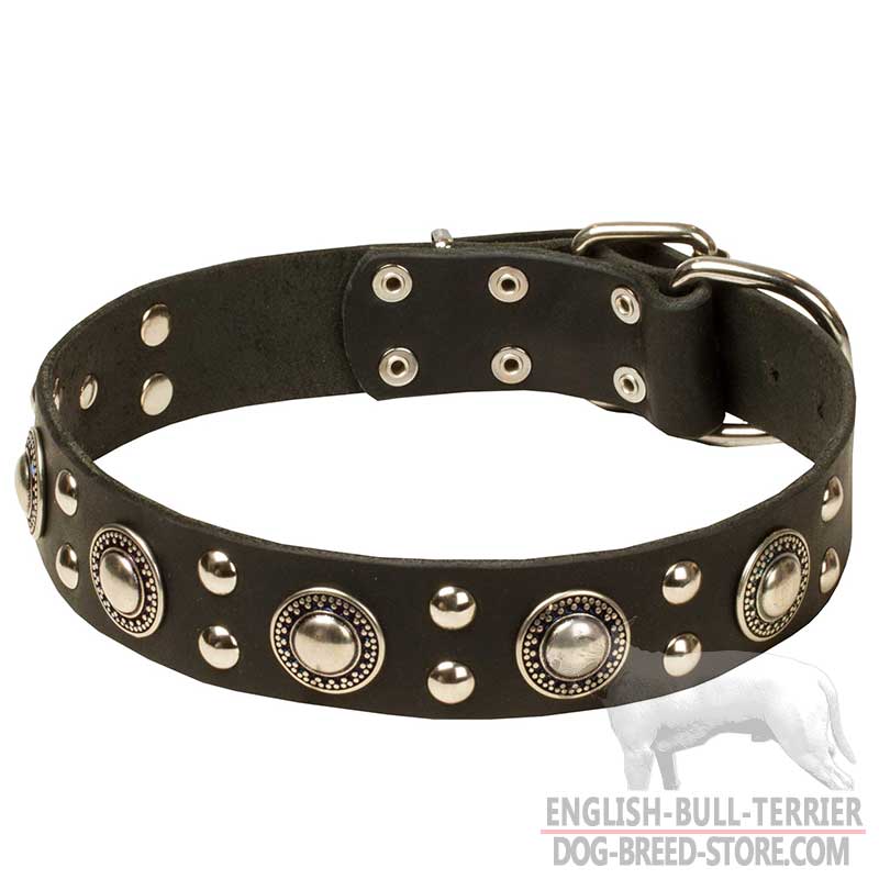 English Bull Terrier Leather Dog Collar for Walking and Training