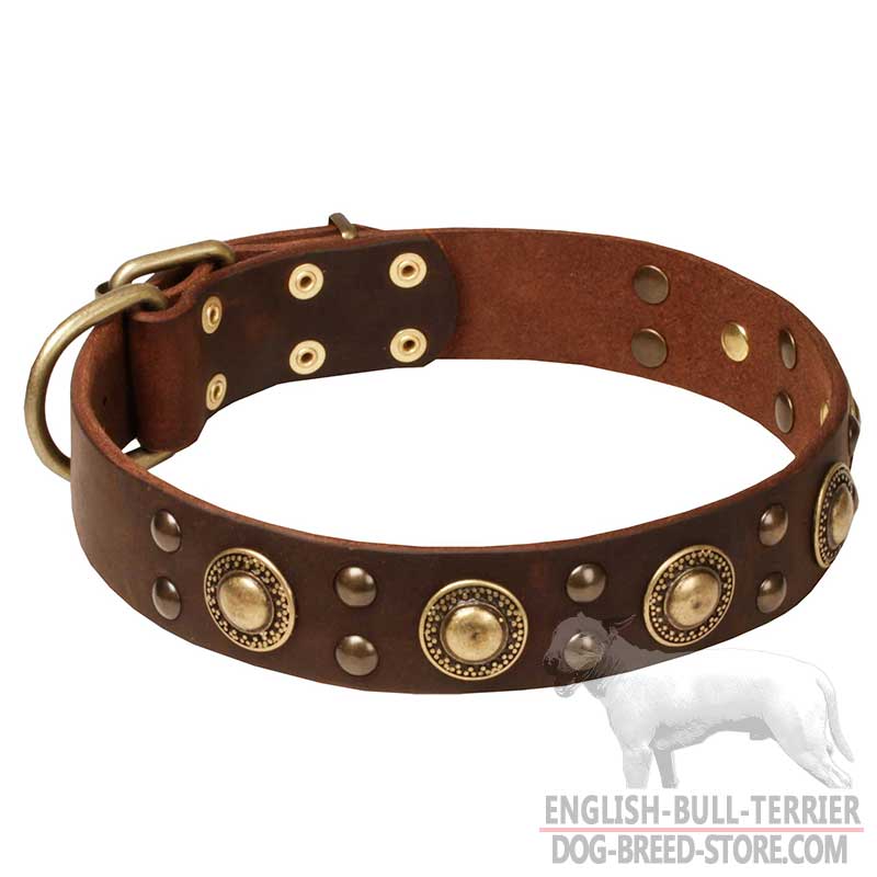 'Space-like' English Bull Terrier Leather Dog Collar with Brass Decor
