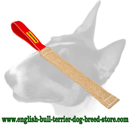 English Bull Terrier Jute Pocket Toy for Bite Training Puppies