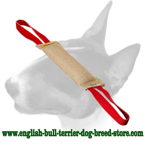 English Bull Terrier Jute Puppy Bite Tug with 2 Handles