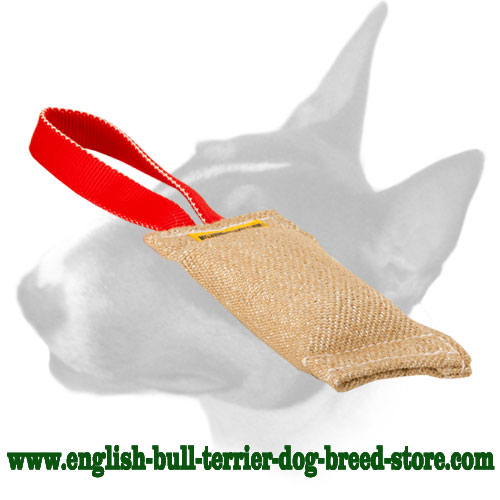 English Bull Terrier Jute Bite Tug with One Handle for Training Puppies