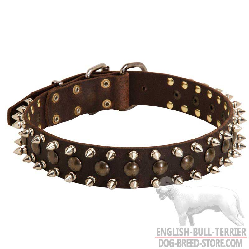 Leather Bull Terrier Collar with Brass Studs and Nickel Spikes