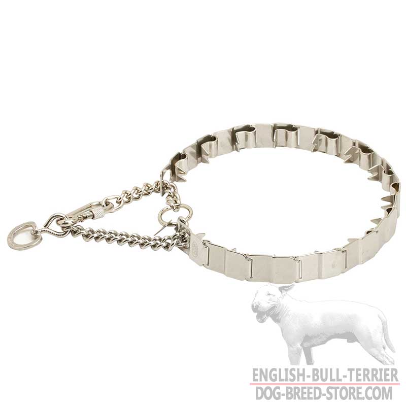 English Bull Terrier Dog Training Neck Tech Prong Collar of Stainless Steel - Click Image to Close