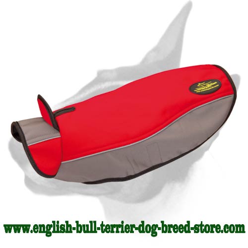 Warm Winter Nylon Bull Terrier Harness