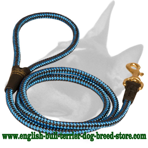 Reliable Nylon Bull Terrier Leash With Strong Snap Hook
