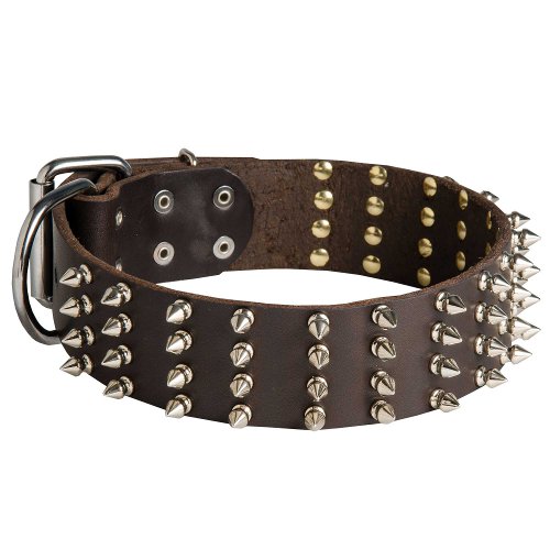 English Bull Terrier 2 inch Wide Leather Dog Collar with Spikes - Click Image to Close