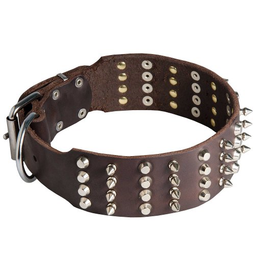 English Bull Terrier Leather Wide Dog Collar with Spikes and Pyramids
