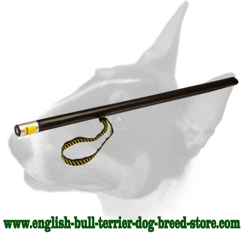 English Bull Terrier Agitation Stick for Schutzhund Training