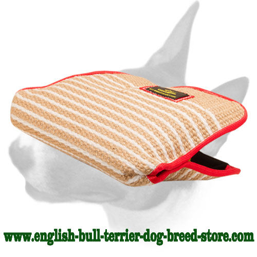 English Bull Terrier Jute Young Dog Bite Builder Sleeve - Click Image to Close