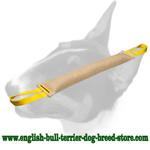 English Bull Terrier Solid Jute Long Bite Tug for Training