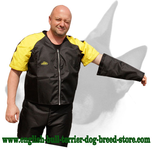 English Bull Terrier Solid Dog Scratch Protection Jacket for Training