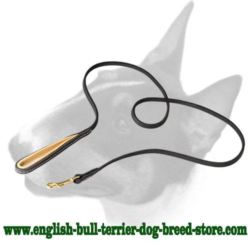 English Bull Terrier High-Quality Leather Dog Leash with Soft Handle