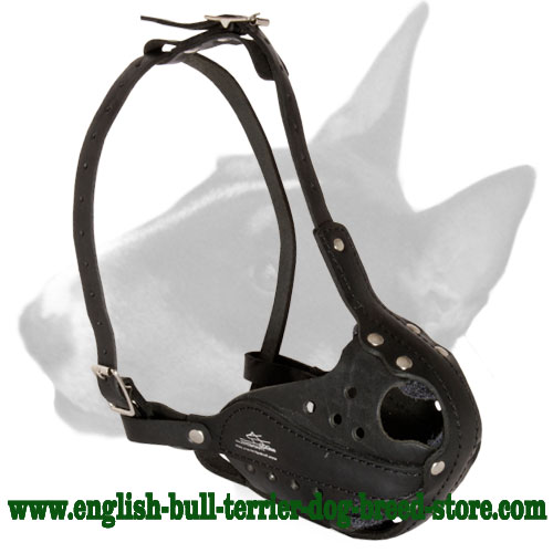 Police Leather Bull Terrier Muzzle for Working Dogs