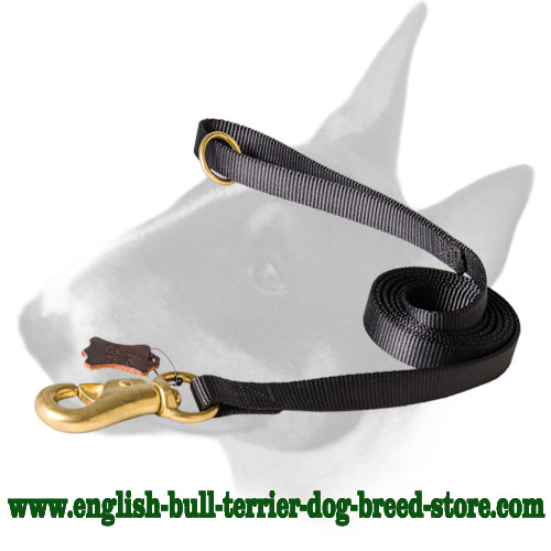 English Bull Terrier Nylon Dog Leash for Tracking