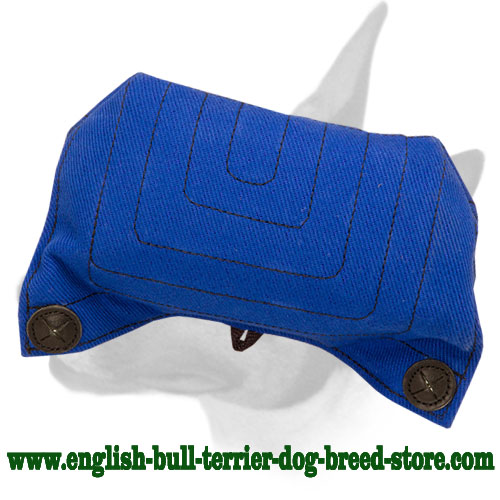 English Bull Terrier Puppy Strong and Soft Bite Builder