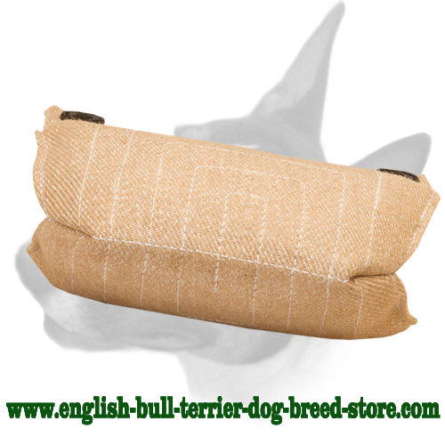 English Bull Terrier Solid Jute Puppy Bite Builder