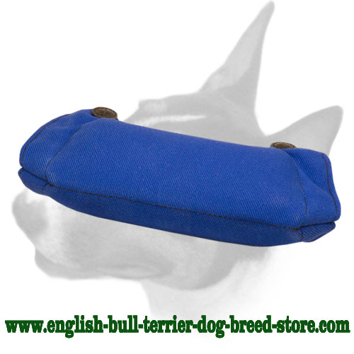 English Bull Terrier Exclusive Design Puppy Bite Builder