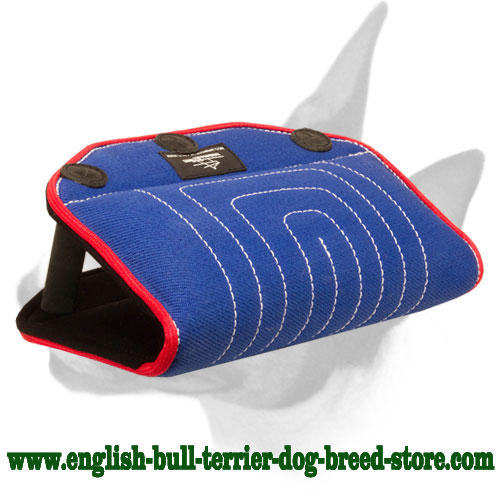 English Bull Terrier Advanced French Linen Puppy Bite Builder - Click Image to Close