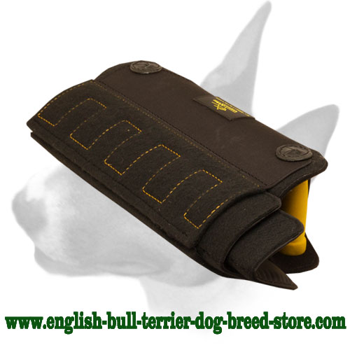 English Bull Terrier Bite X-Builder for Young Dogs and Puppies