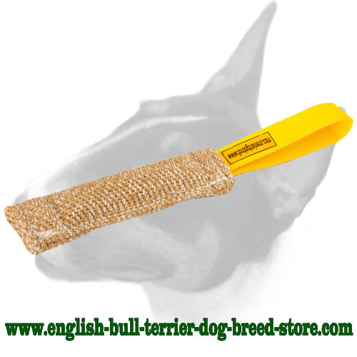 English Bull Terrier Puppy Bite Tug with Convenient Handle for Training