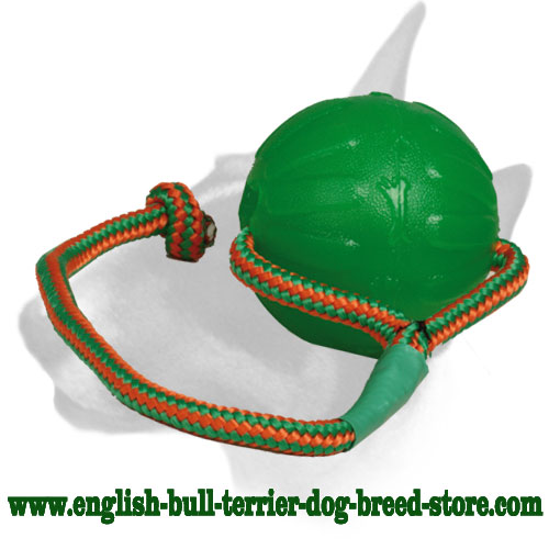 Chew Dog Ball With Colorful Rope For English Bull Terrier Tt24 1090 Water Rubber Chew Dog Ball Bull Terrier Harnesses Bull Terrier Muzzle Bull Terrier Collars Bull Terrier Leads Dog Leashes Prong